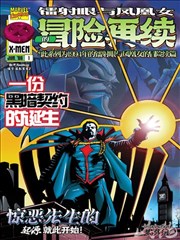 铳火铅与羽封面
